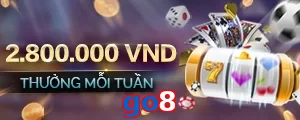 go8