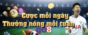 go8